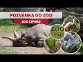 pozvánka do zoo lipsko *zoo leipzig*