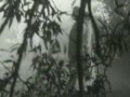 Софья Перовская. Одинокая птица 