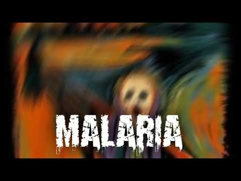 MALARIA - HAMZEE (REUPLOAD) | SAVAGE DISS | 2019
