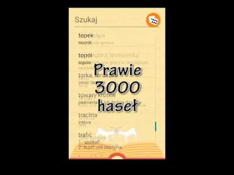 Gwara Poznańska Video