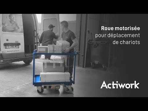 Roue motorisée pour chariot