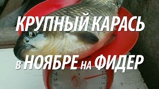 Ссылка