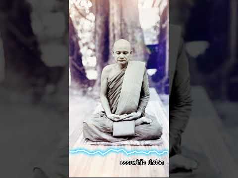 วิธีเอาชนะกามราคะ หลวงปู่ชา สุภัทโท #ธรรมะ #ธรรมะสอนใจ