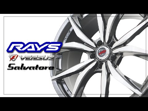 R19 RAYS Versus salvatore alloys Mercedes Audi Bmw - Image 2