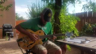 I'm Crazy About You Baby, Fred McDowell.