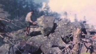 Silver Firs - Golden Age