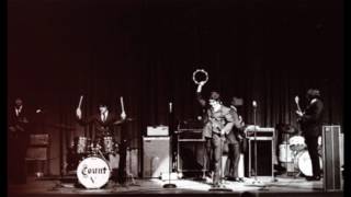 Count Five - Psychotic Reaction