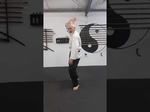 Shomen Uchi and Yokomen Uchi strikes