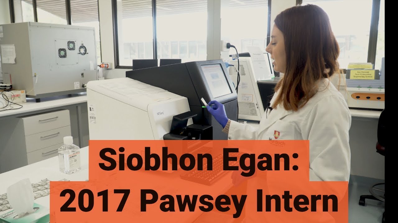 2017 Pawsey Intern: Siobhon Egan