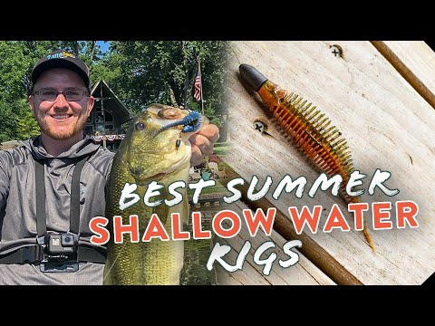 Catch MORE Bass This Summer With These 3 Rigs!!
