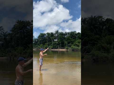 Pesca do Rio Carapitangui barra grande Bahia #pesca #fishing #beach