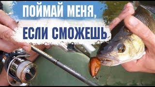 Советы по ловле голавля на спиннинг