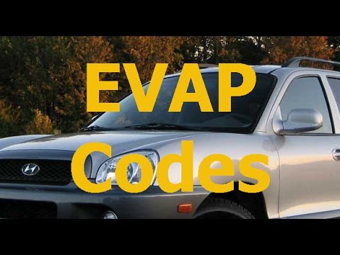Hyundai Santa Fe Code P0441, P1295, P2106 EVAP System