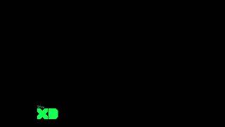 Disney XD Screen Bug (2015)