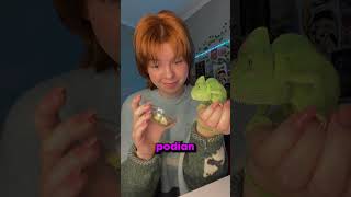 Su CAMALEÓN es su NOVIO!! 😲😲 7