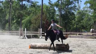 A Day at the Barn - Merritt and Cede