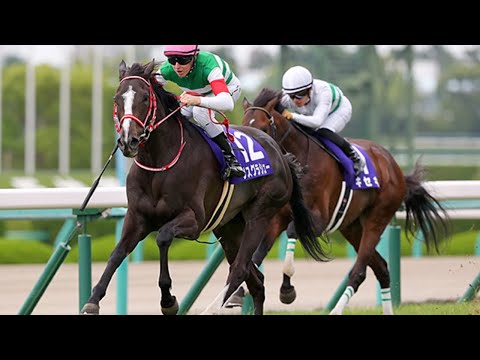 まあはん✕JRA　第61回 宝塚記念GⅠ