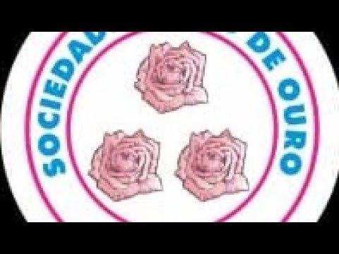 2013 02- ROSAS DE OURO (samba enredo)