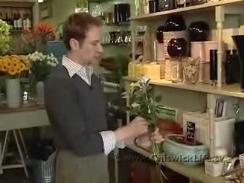 奇斯威克花商生活中的一天