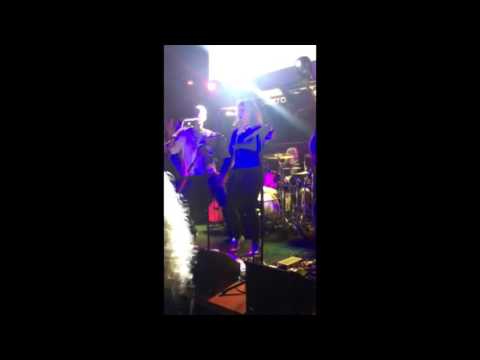 Bahama Llama Shake Your Body