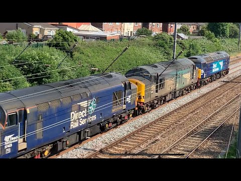 KINGMOOR TRIO,  Leyland