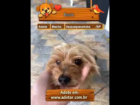 Vídeo de Barto 