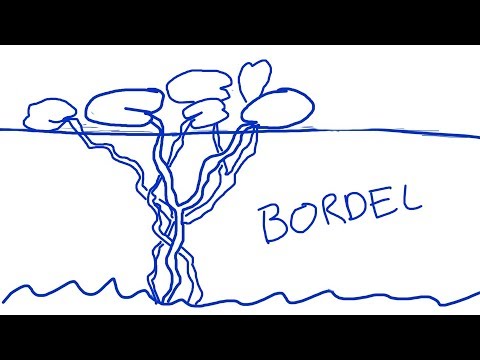 Borderline Personality Disorder: Complex Issues Part 1