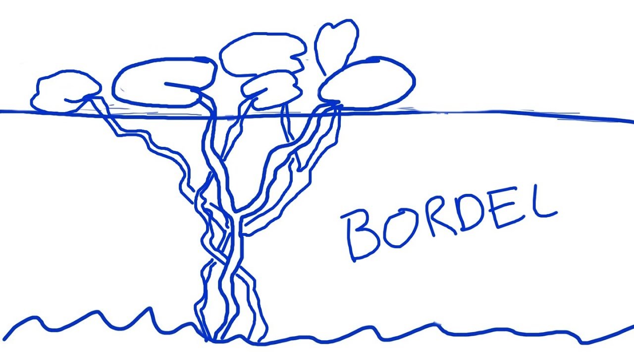 Borderline Personality Disorder: Complex Issues Part 1