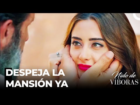 La Gran Traición De Elvan A La Mansión De Yenilmez - Nido De Víboras