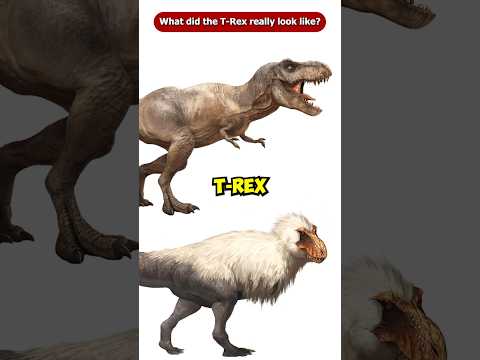 What did the T-Rex Really Look Like? Jurassic World Rebirth #Shorts #Viral
