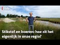 Wat je moet weten over de landbouw in de provincie Utrecht | RTV Utrecht