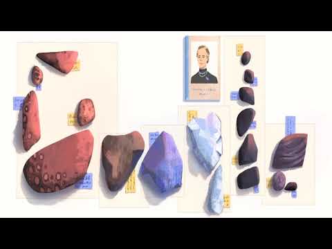 10 fats about elisa leonida zamfirescu,world,s  second engineer