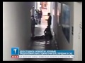 Дело студента в Кокшетау, который, предположительно, ударил учителя, передано в суд ...