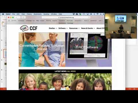 Large scale analysis and Open Science