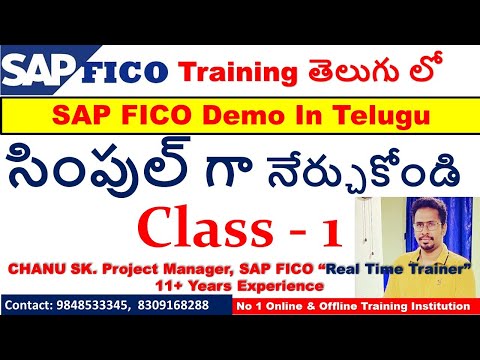 Best sap fico online training in india -919848533345