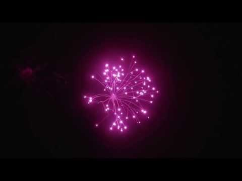 SCP474/150 - 150mm Blue to Pink Crossette Shell