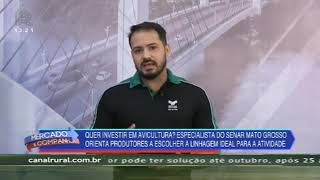 Miniatura do vídeo