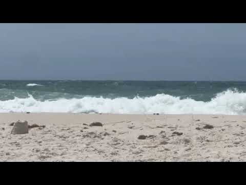 Gulf State Park Beach about 5min drive