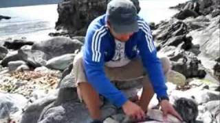 preview picture of video 'Spearfishing in Norway  . Runde 2009 . Lutin Alexandr & Pollack 3KG'