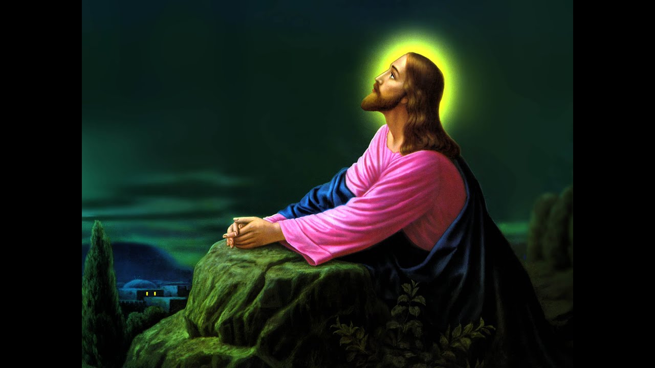 Lei de destruição - Haroldo Dutra Dias