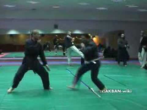 Ten chi no kata - koto ryu