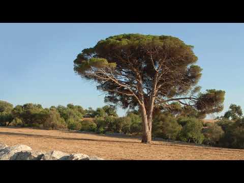 Best Hotels in Sicily - Sikelika Residence (Scoglitti, Ragusa)