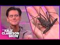 Jim Carrey Pretends He S Ace Ventura While Meeting Wild Animals With Coyote Peterson