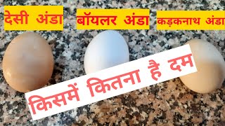 Egg: Boiler Vs Desi Vs Kadaknath