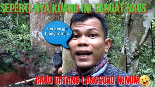 Download lagu CALLING THE DEER ON THE OLD RANGON DOESN'T TAKE LONG, IT ARRIVES IMMEDIATELY mp3