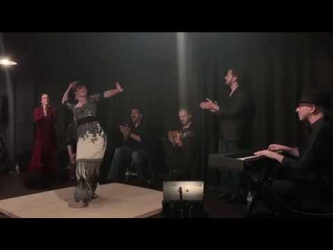 Promotional video thumbnail 1 for Fanny Ara Flamenco Dance Company
