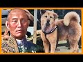 HACHIKO The Story Of The Faithful Dog ️