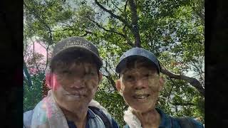 合庫週二登山隊-20250909鶯歌孫龍步道-碧龍宫-牛灶坑山-忠義山忠義宫-長壽步道