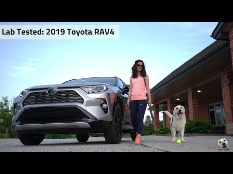 2019 Toyota RAV4 XSE Hybrid: Andie the Lab Review! Video