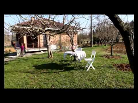 Casa in Collina, immersa nel verde.